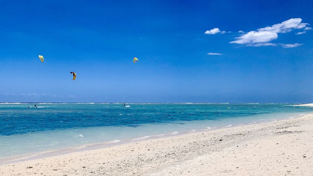 Photograph by Christine ECHEVET-ADAM de VILLIERS