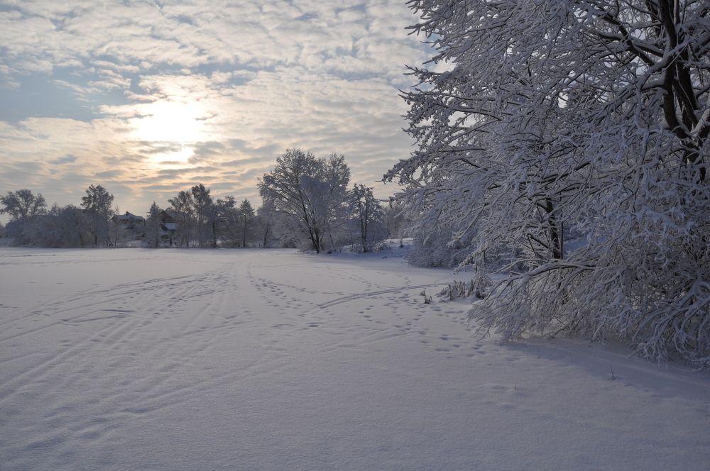 Зимнее утро на Барском пруде