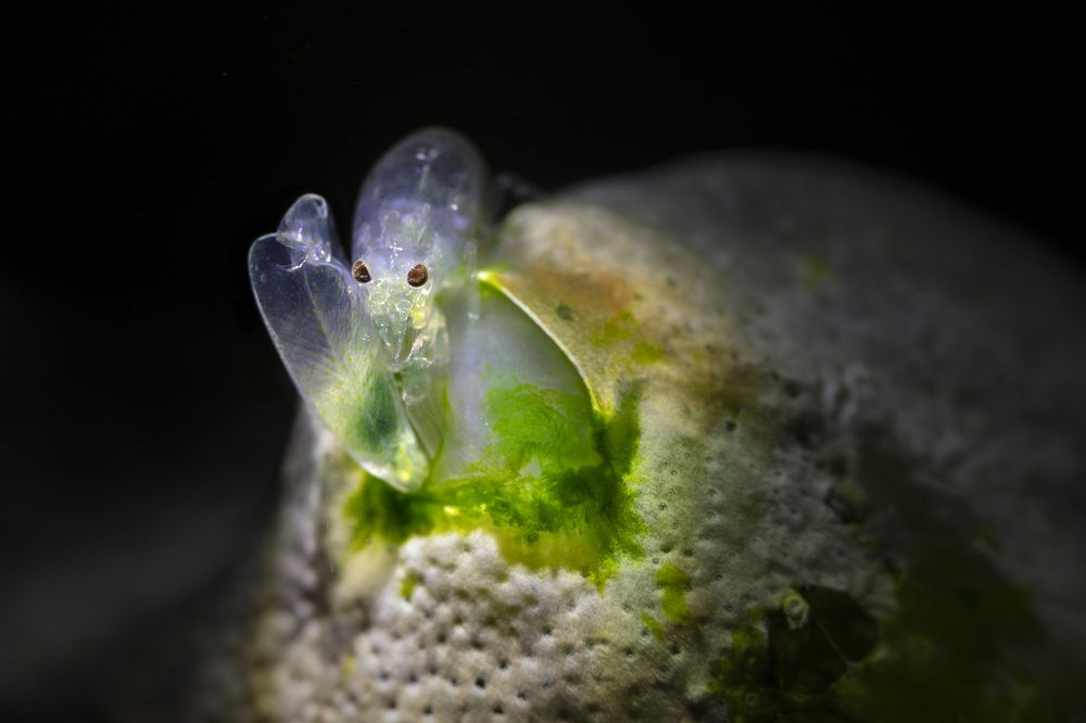 Photograph by Дериглазова Марина Владимировна