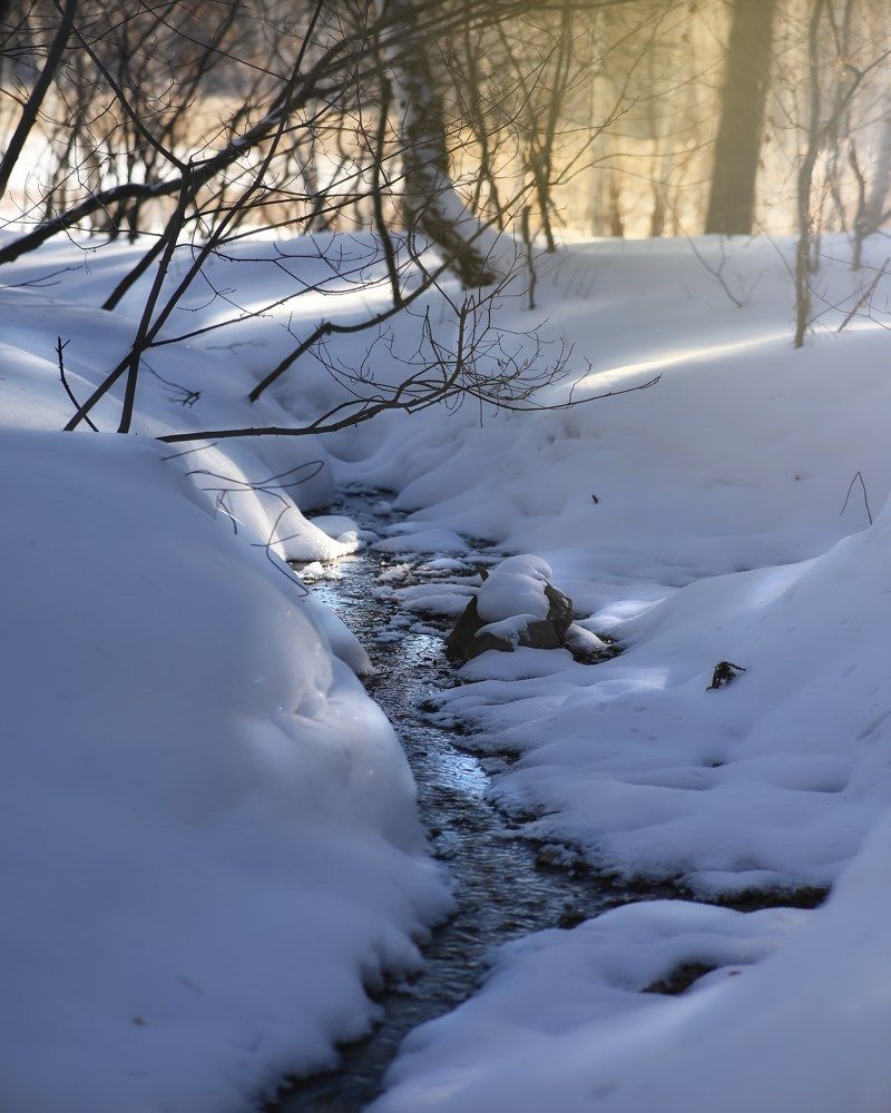 Photograph by Виктория Романенко