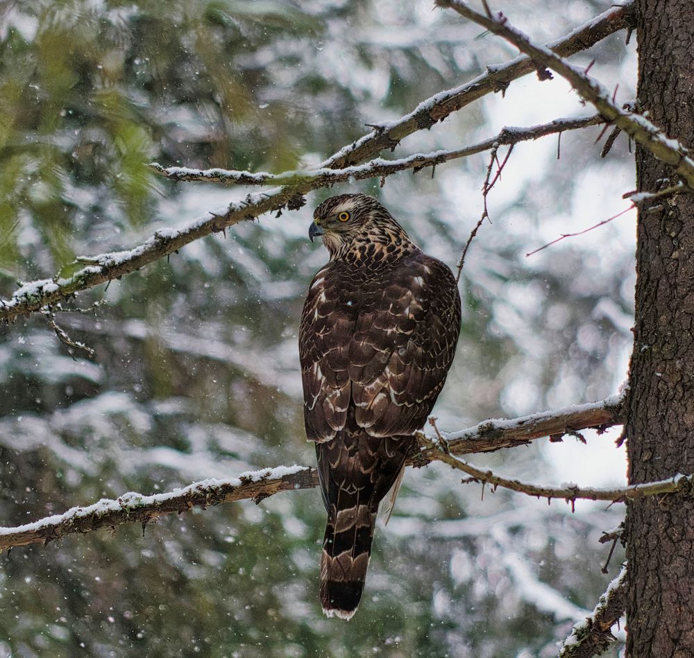 Photograph by Алексей Долженко