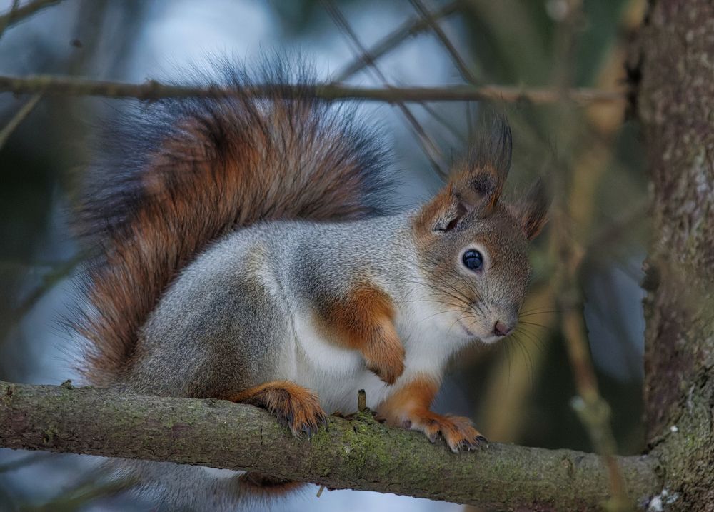 Photograph by Алексей Долженко