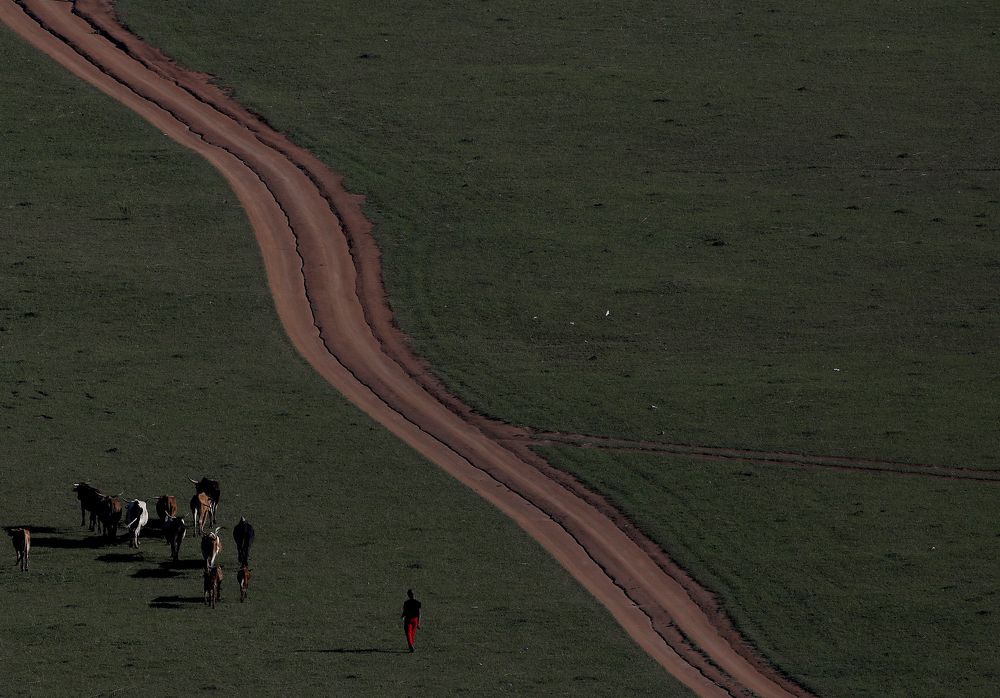 Photograph by Sandile Ndlovu