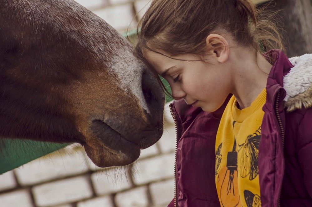 Photograph by Елена Славинская