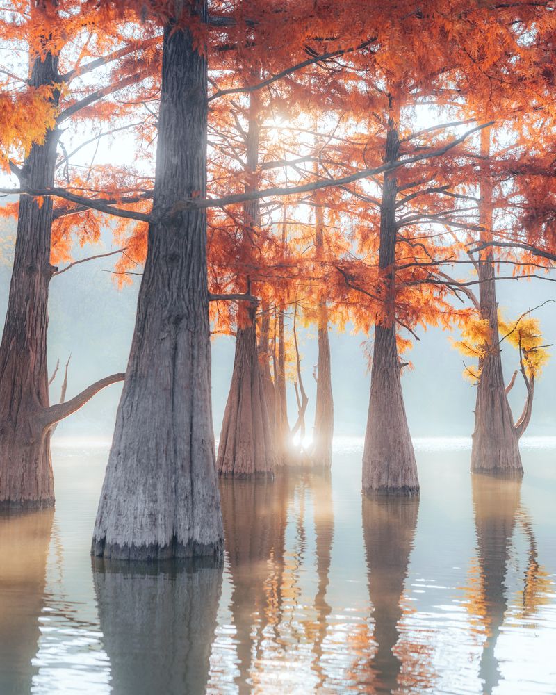 Photograph by Алексей Соколенко