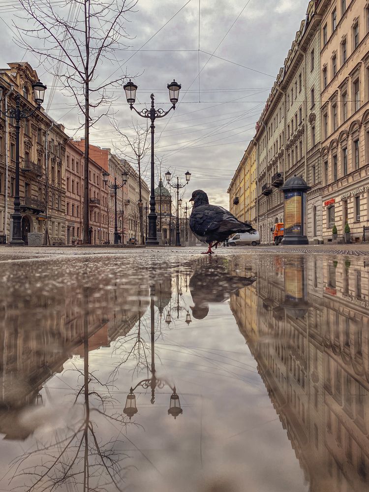 Photograph by Глеб