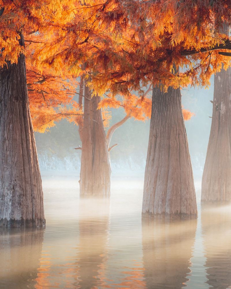 Photograph by Алексей Соколенко