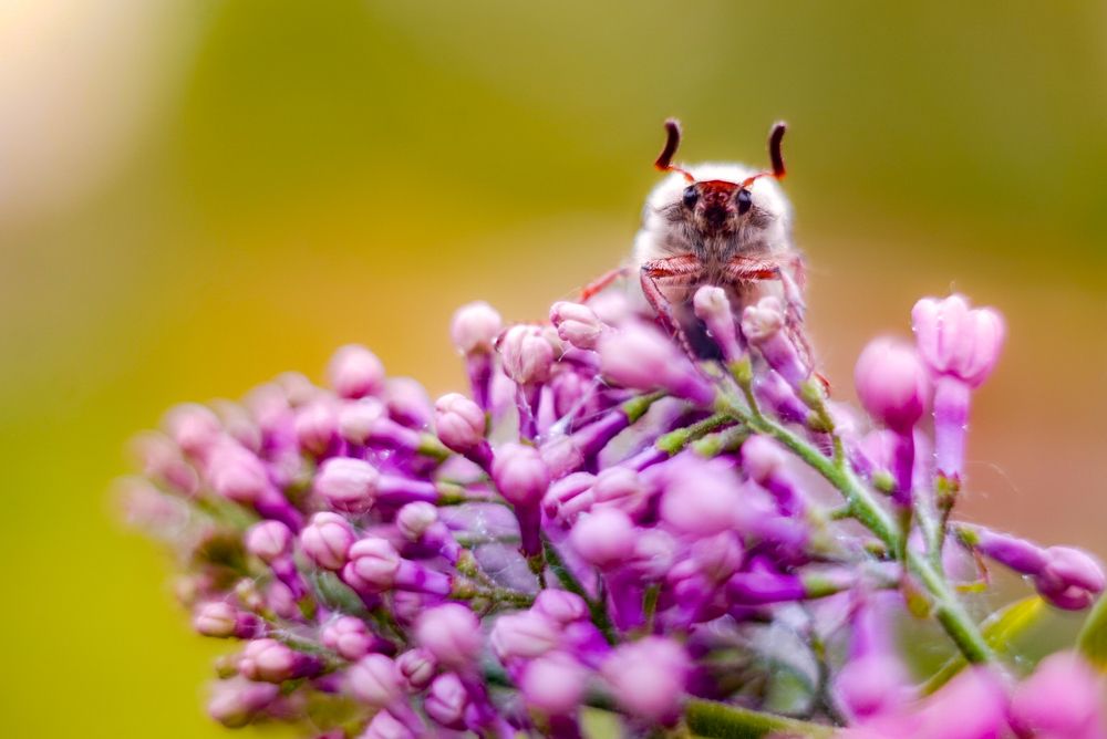 Photograph by Алена Жогалович