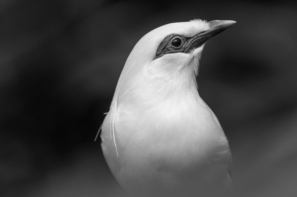 Photograph by Benny Chan