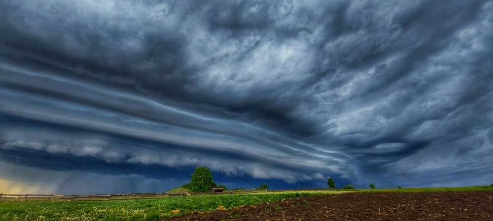 Photograph by Елена Сизых