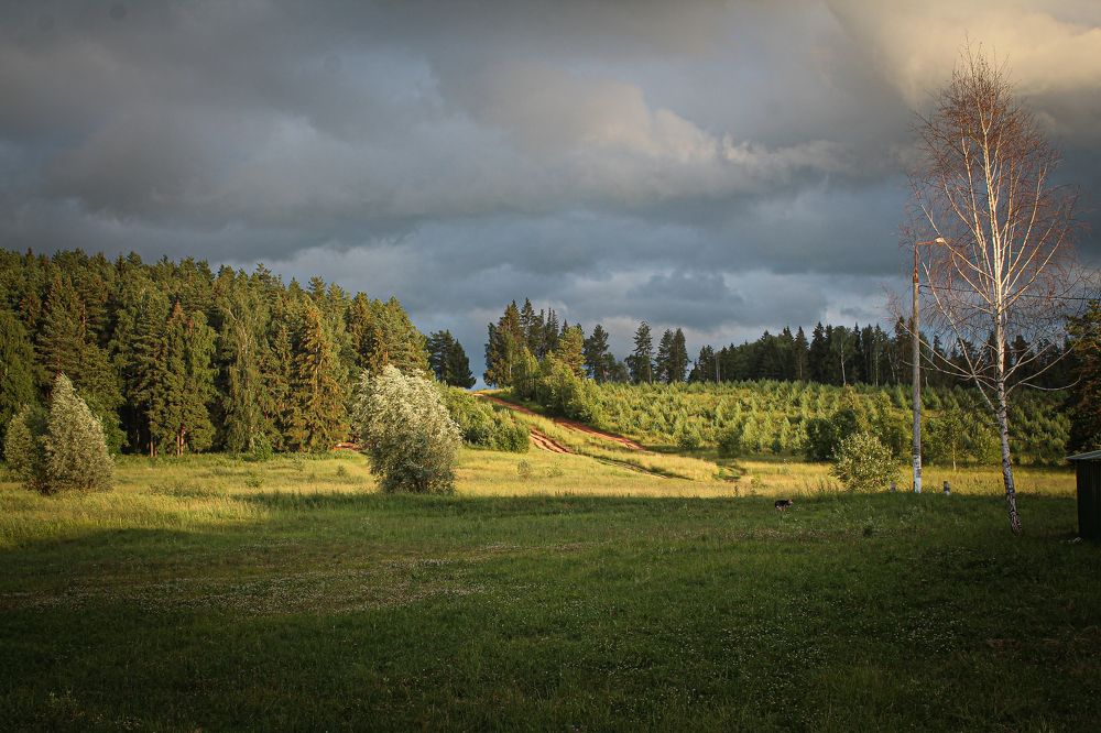 Photograph by Елена