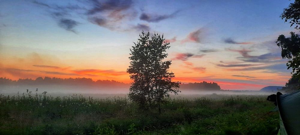 Photograph by Елена Сизых