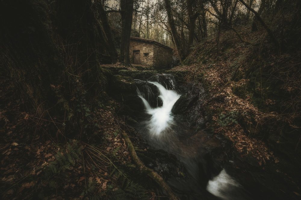 Photograph by Antonio López