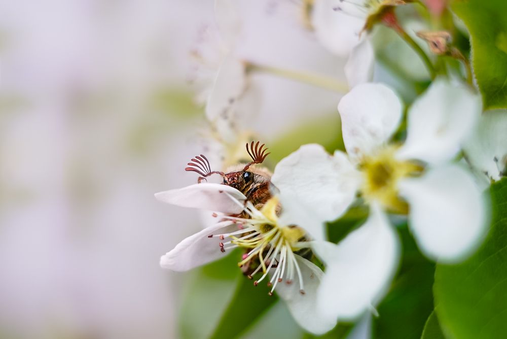 Photograph by Алена Жогалович
