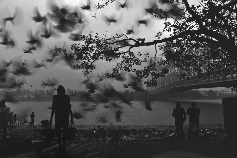 Photograph by GOPAL PARBAT