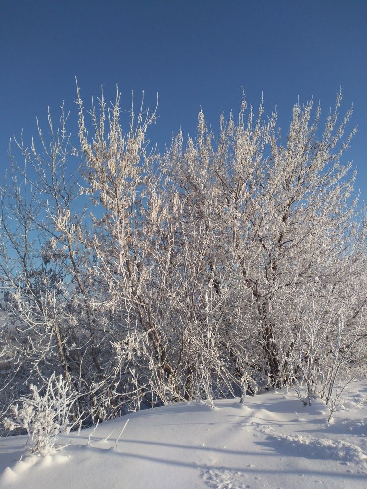 Photo #7315999