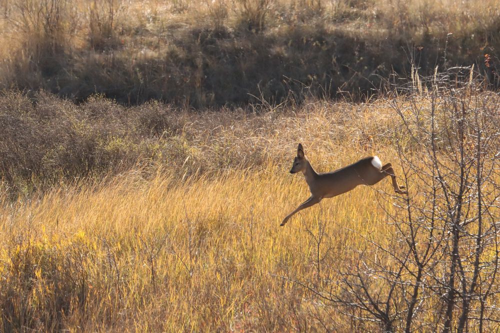 Photograph by Юлия Черкасова