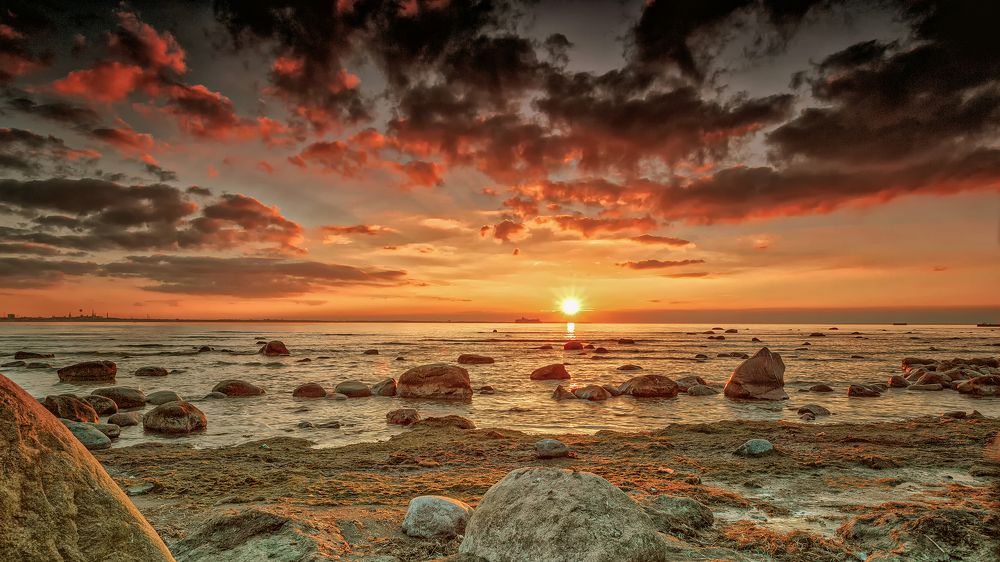 Photograph by Aare Treiel