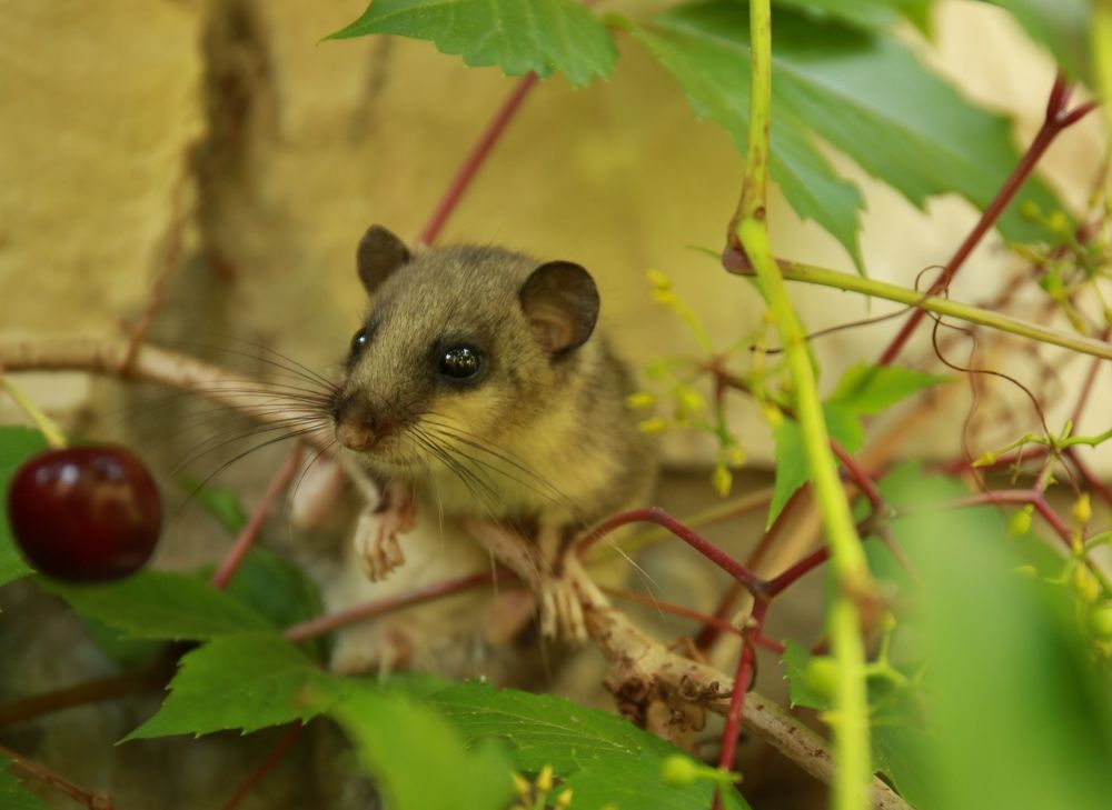 Photograph by Марина Юрченко