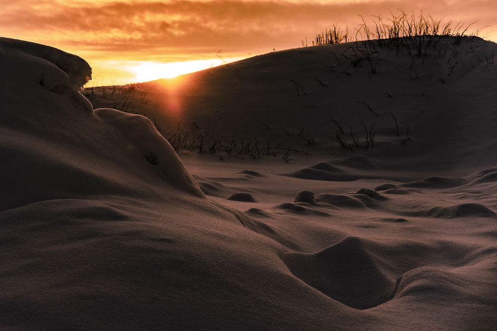 Фотография автора Алексей Туренков