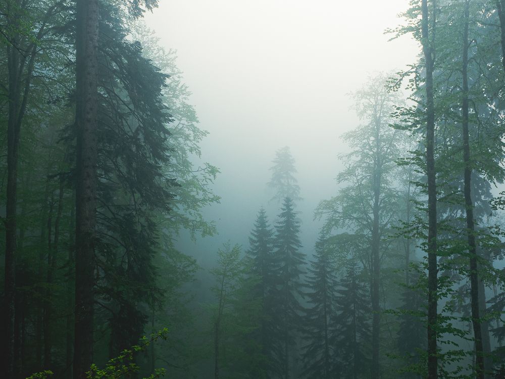 Photograph by Александр Битюков