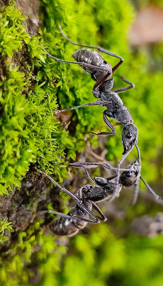 Photograph by Susmita Ghosh