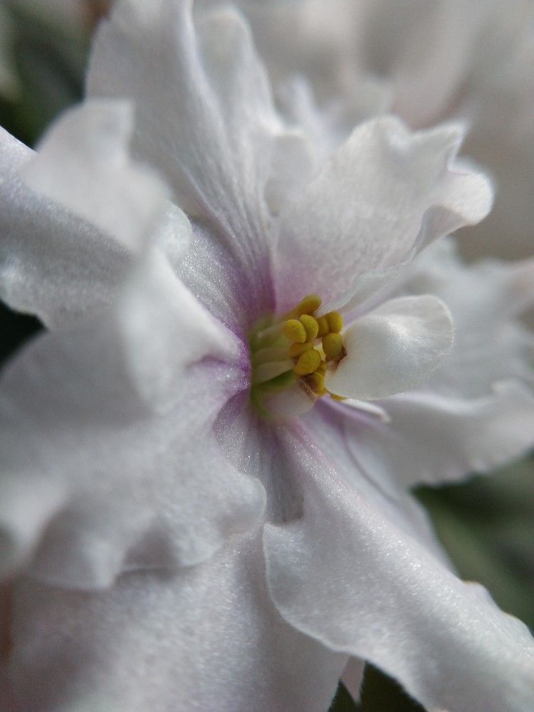 Photograph by Alena Litvinava