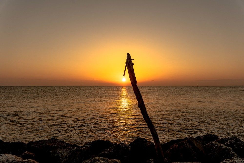 Photograph by Romualdas Vaitkevicius