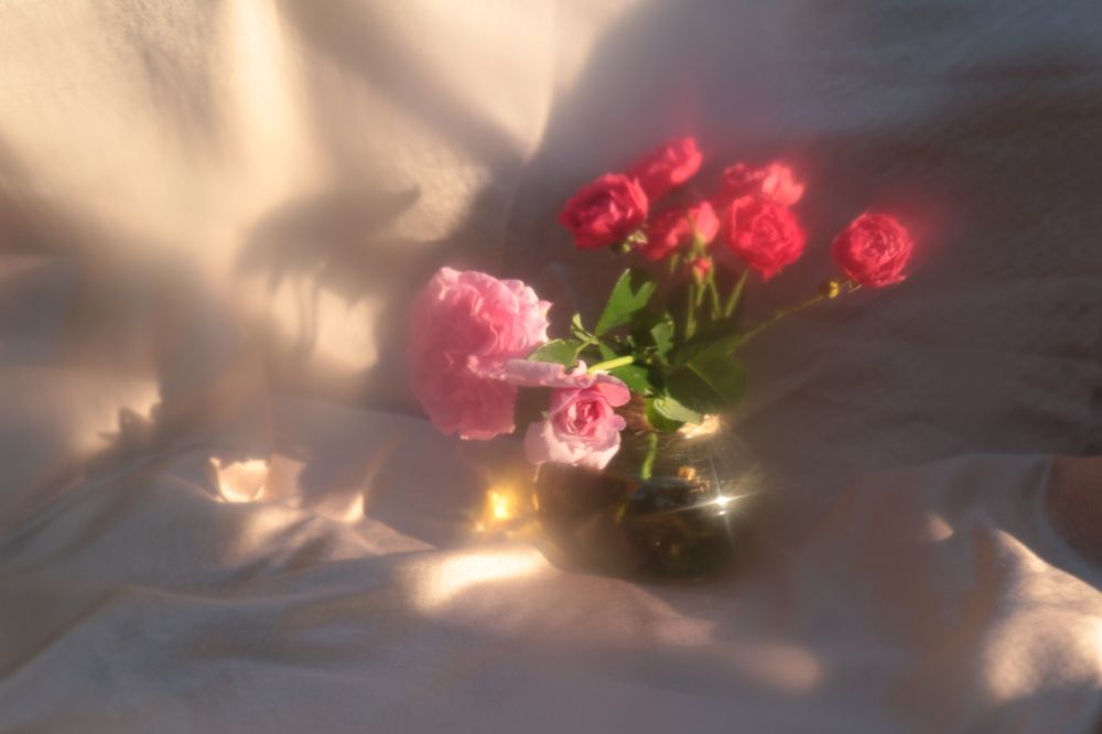 Photograph by Елена Измакова
