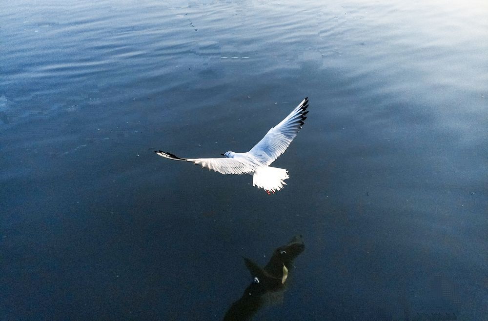 Photograph by Saurabh