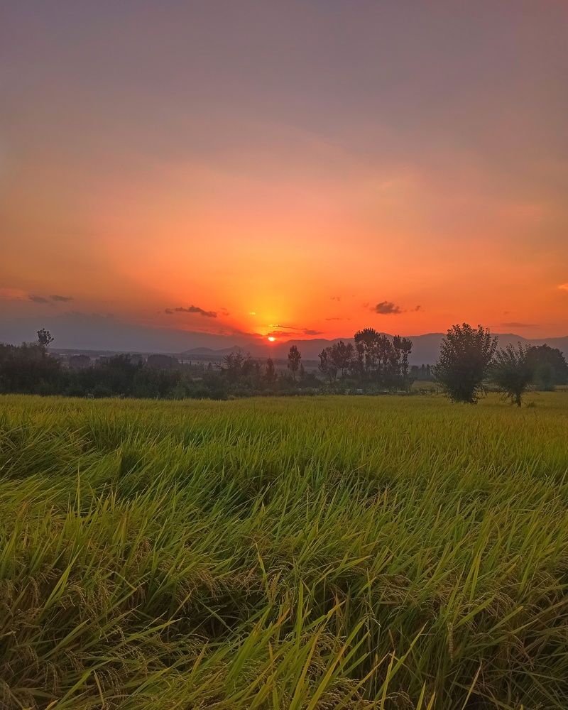 Photograph by Amaan Bhat