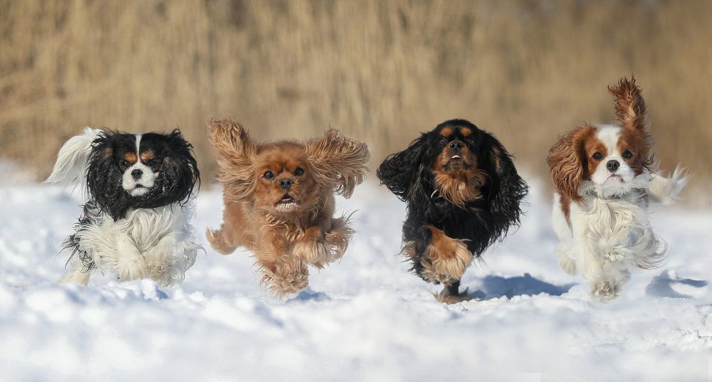 Photograph by Андрей Ершов