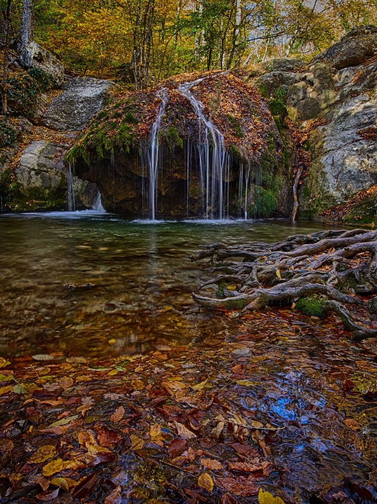 Фотография автора Петр Богомазов