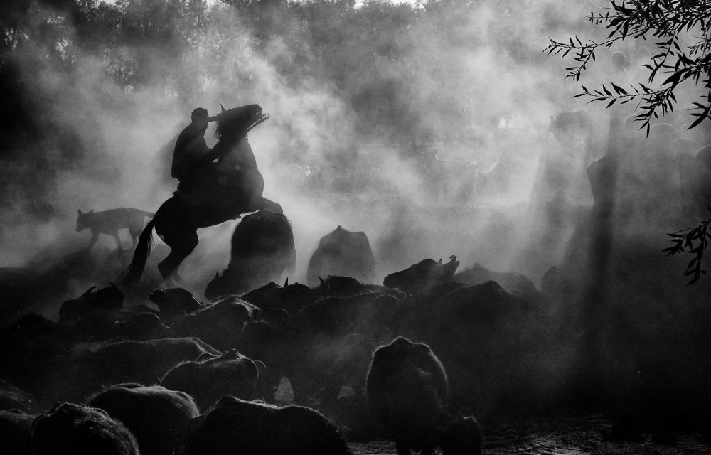 Photograph by Gılcan Mete Delibay