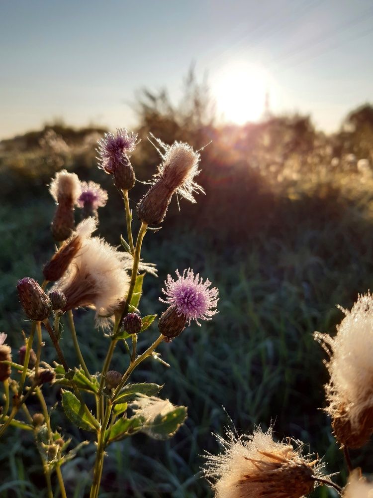 Photograph by Людмила Лаврентьева