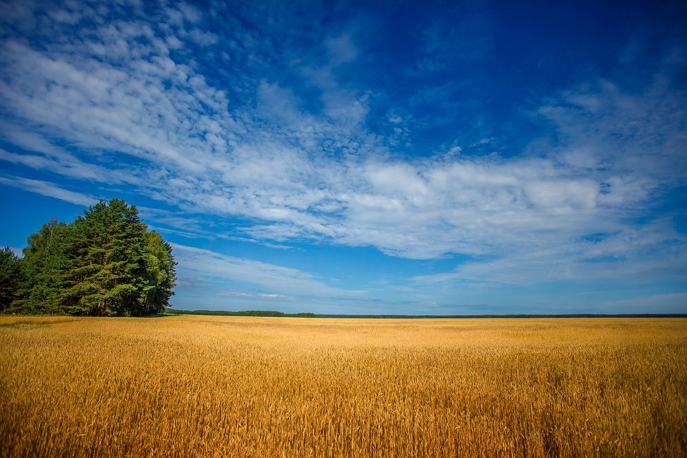 Photograph by Алексей Трифонов