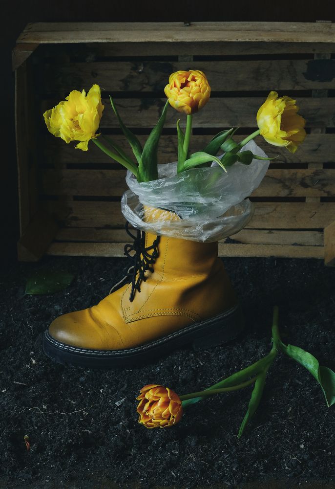 Весна шагает по планете