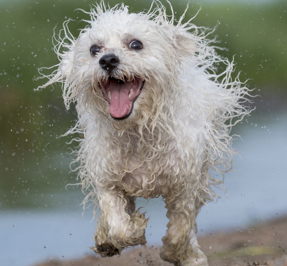 Photograph by Vjacheslav Simanovich