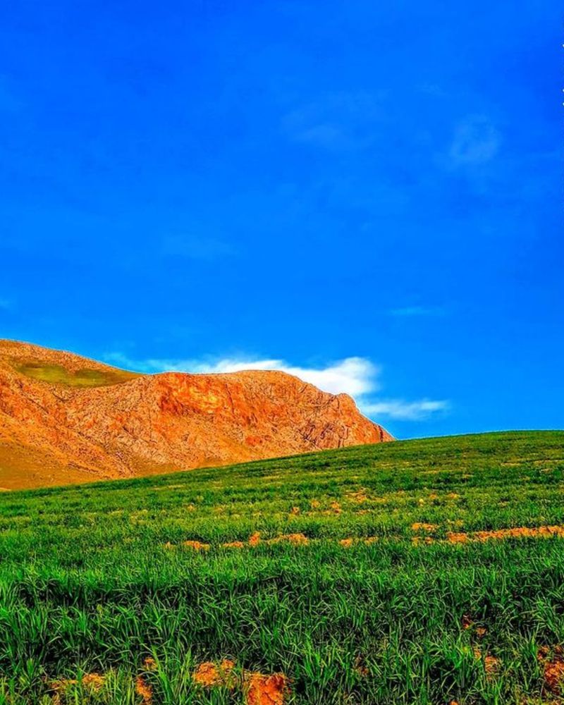 Фотография автора mohammadreza izadi