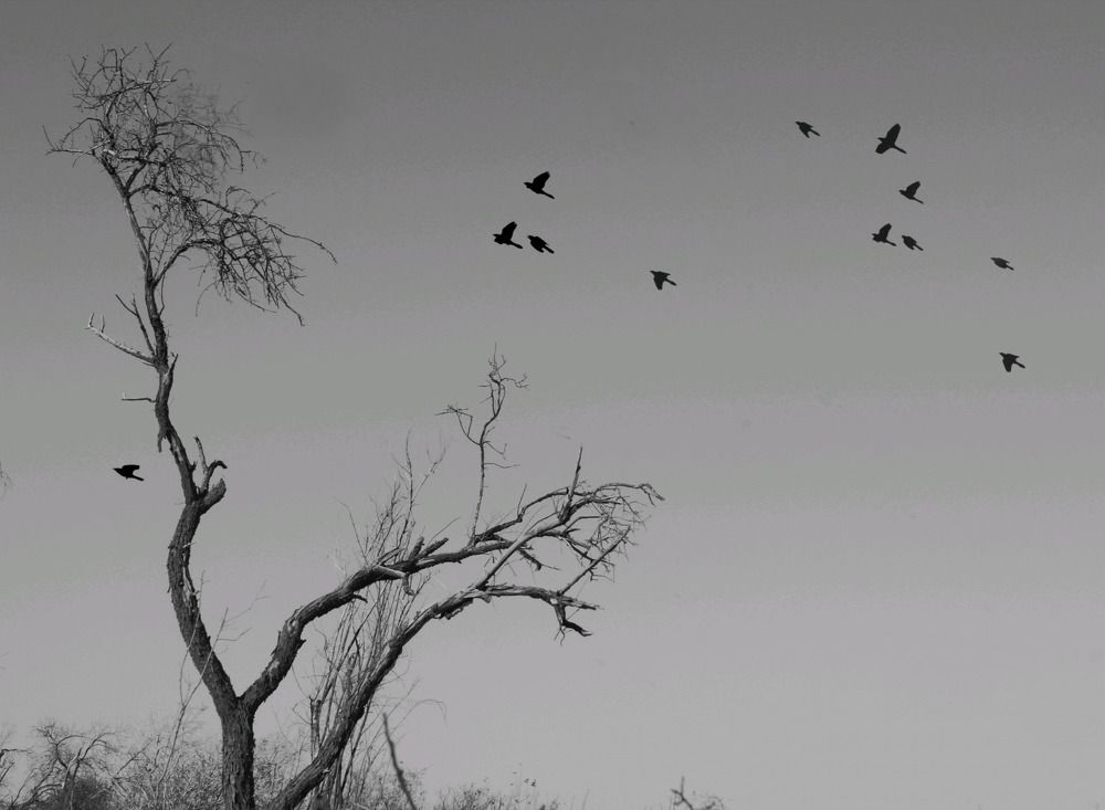 Фотография автора bahar td