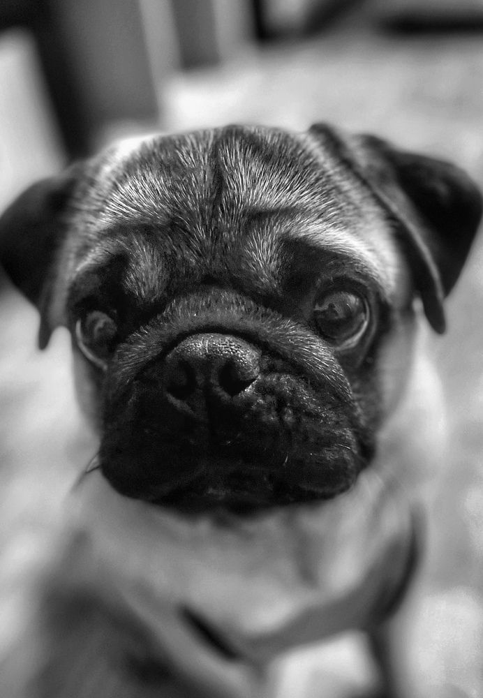 Photograph by Маргарита Кононова