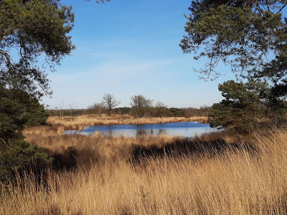 Photograph by Ivo Damen