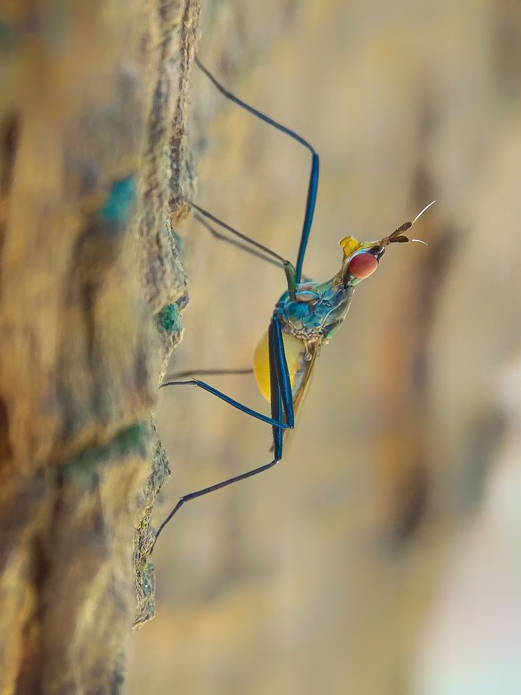 Photograph by Susmita Ghosh