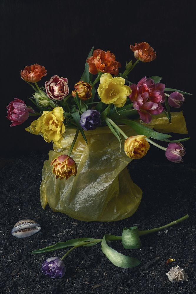 Весна в полиэтилене