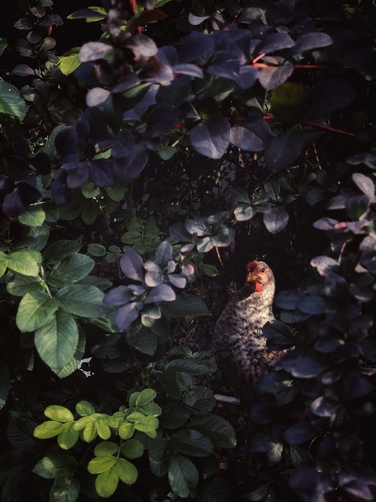 Photograph by Людмила Мельтишинова