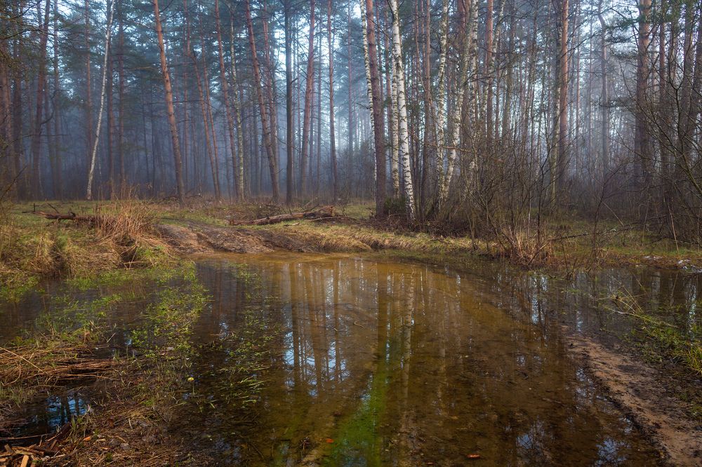Photograph by Дмитрий Алексеев