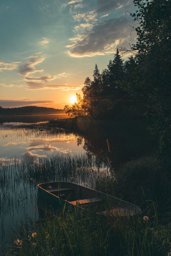 Фотография автора Алексей Туренков
