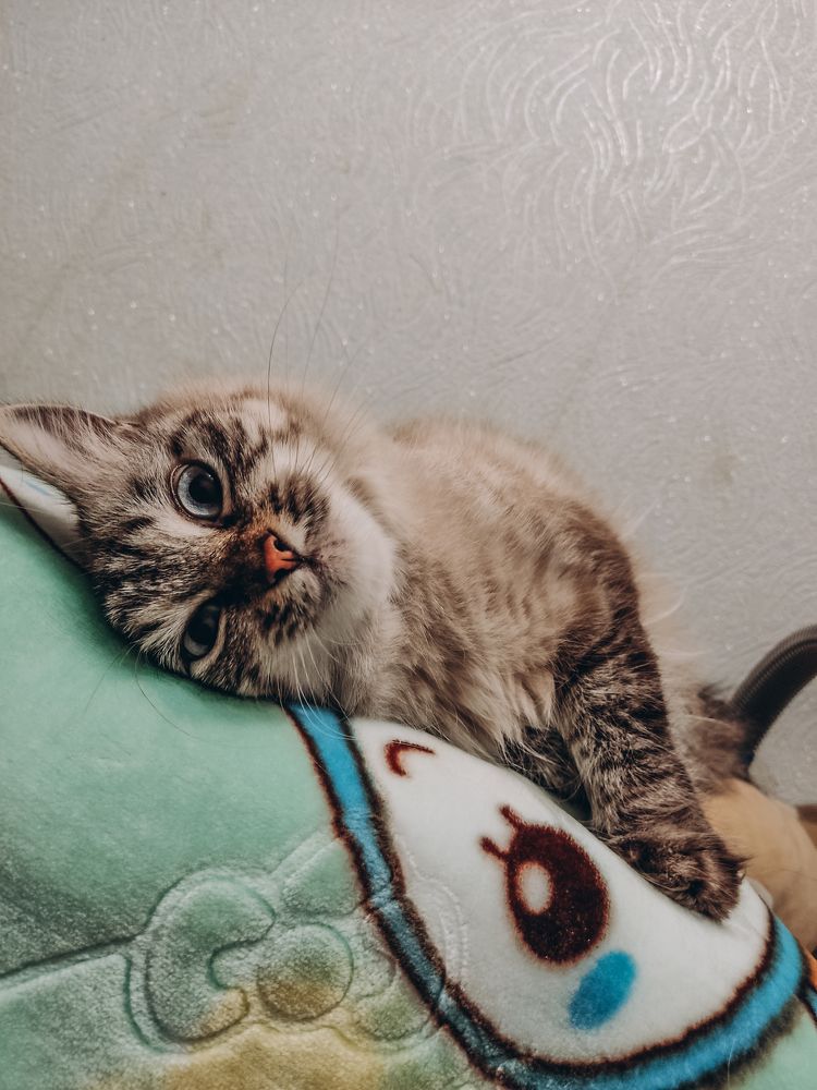 Photograph by Залина