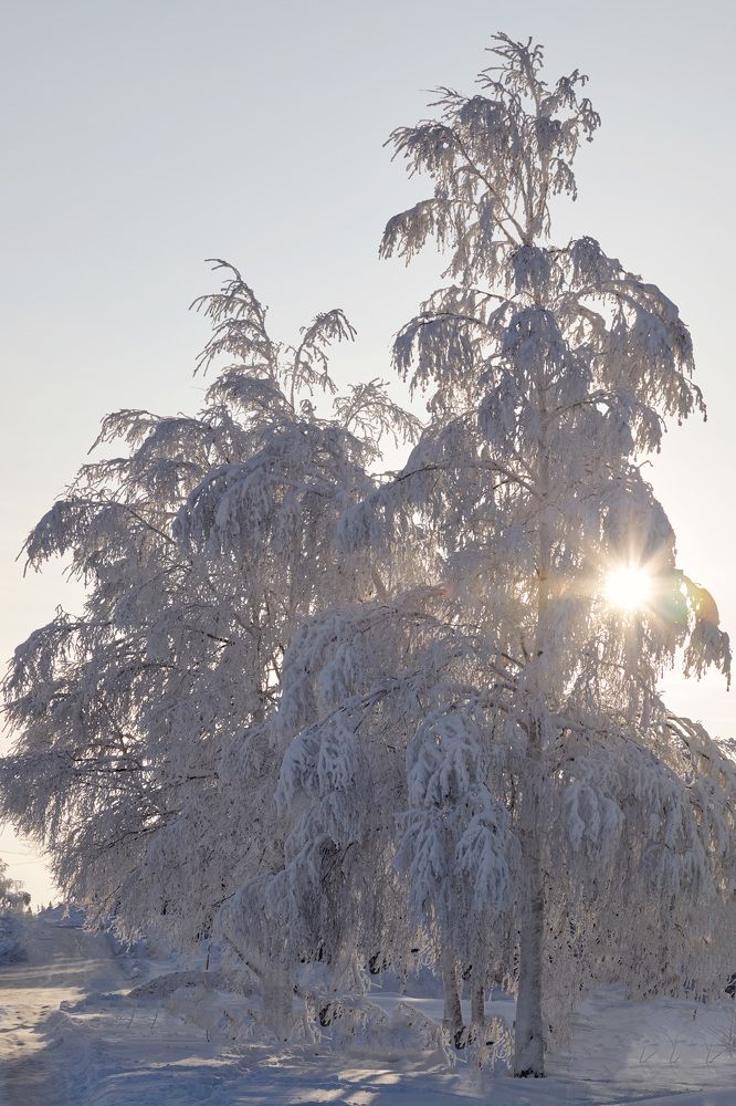 Photograph by Алексей Тишин