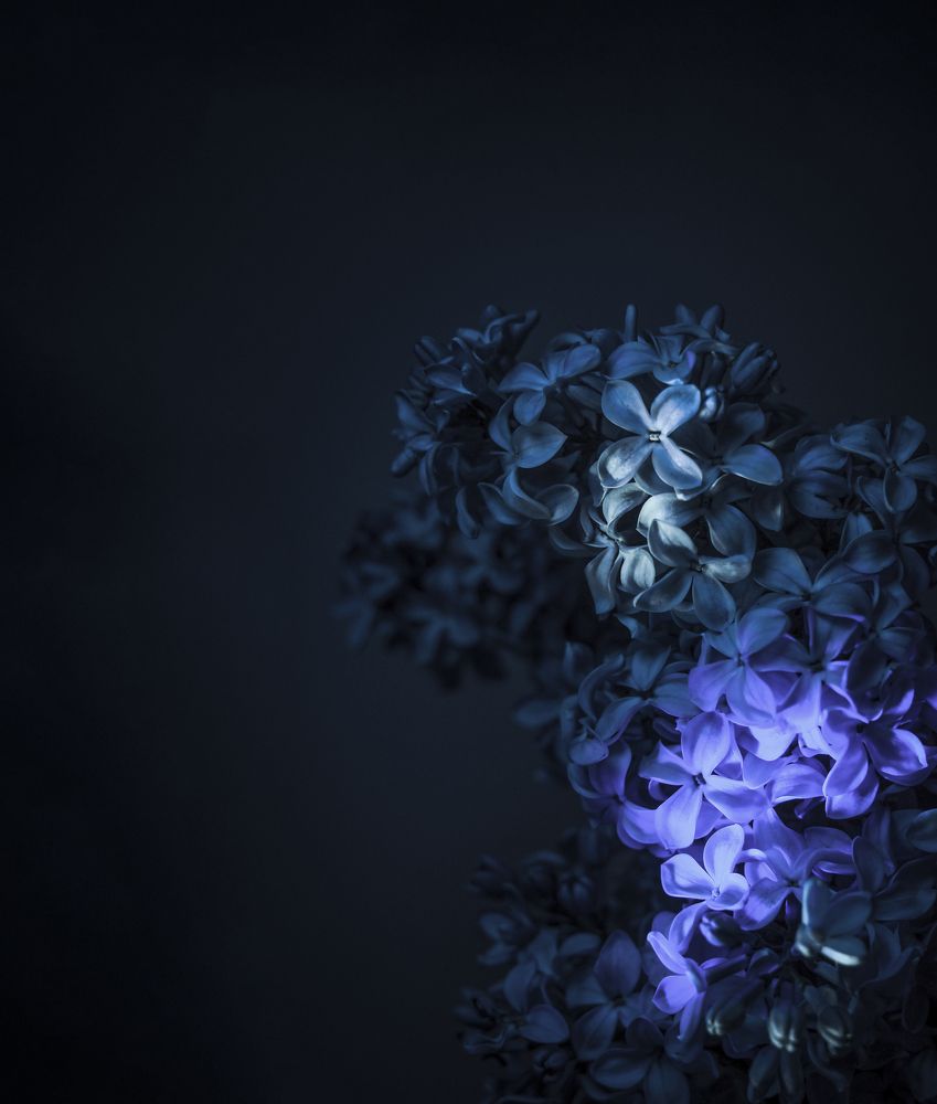 Photograph by Valeria Malinkina